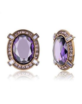 TK2571 - Stainless Steel IP Coffee light Earrings AAA Grade CZ Amethyst