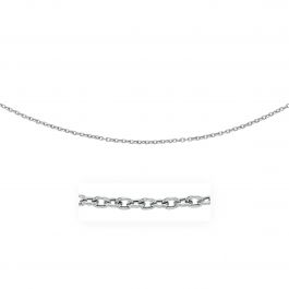 white gold flat chain necklace
